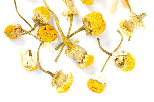 Camomile