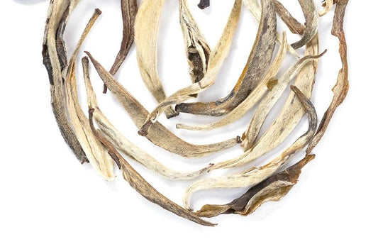 Jasmine Silver Needle